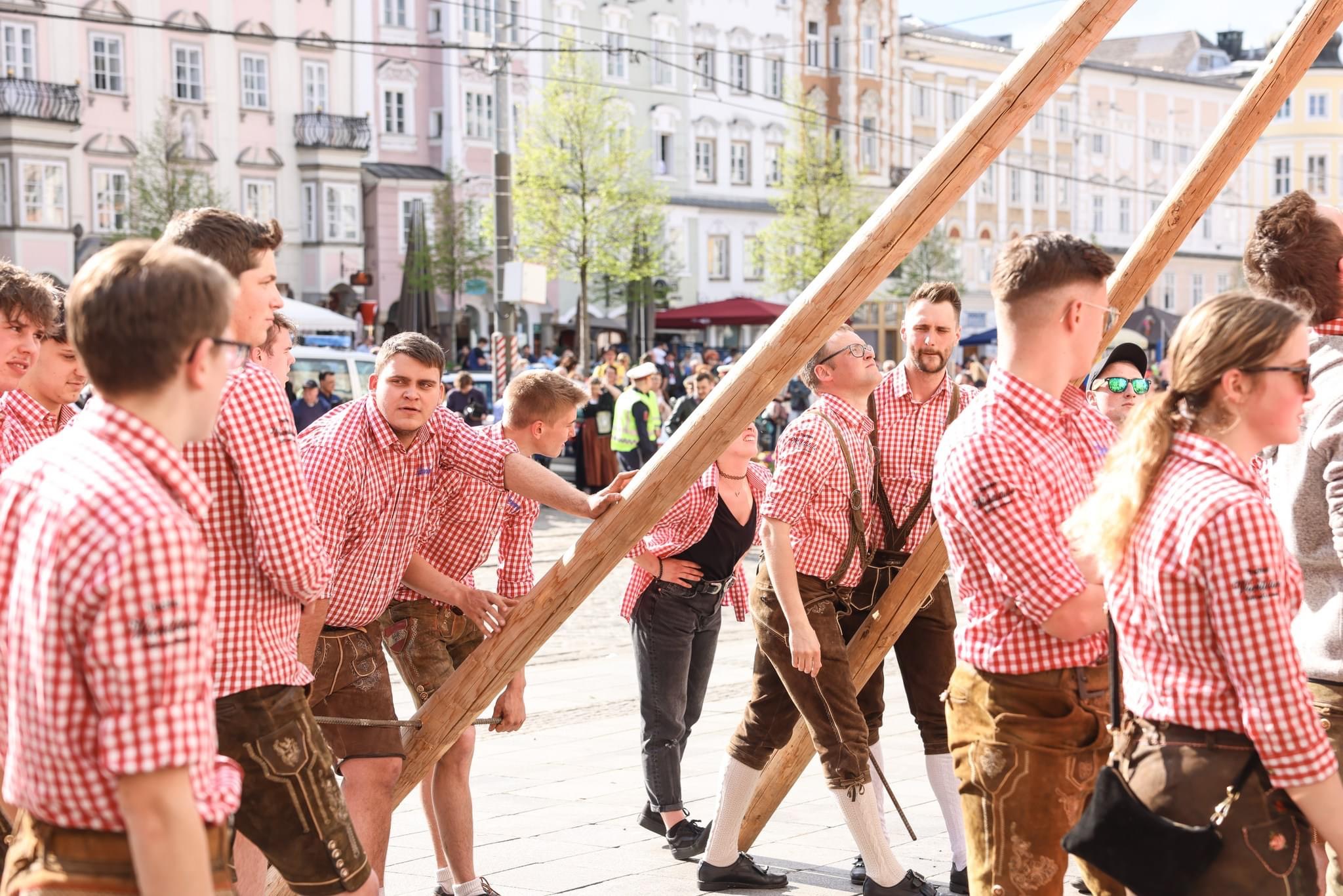 Maibaum Linz 23